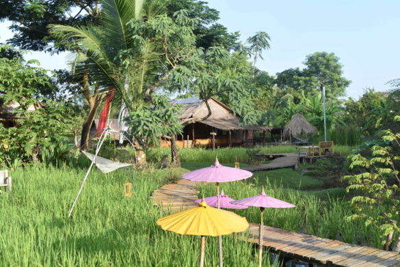 oriental siam resort chiang mai