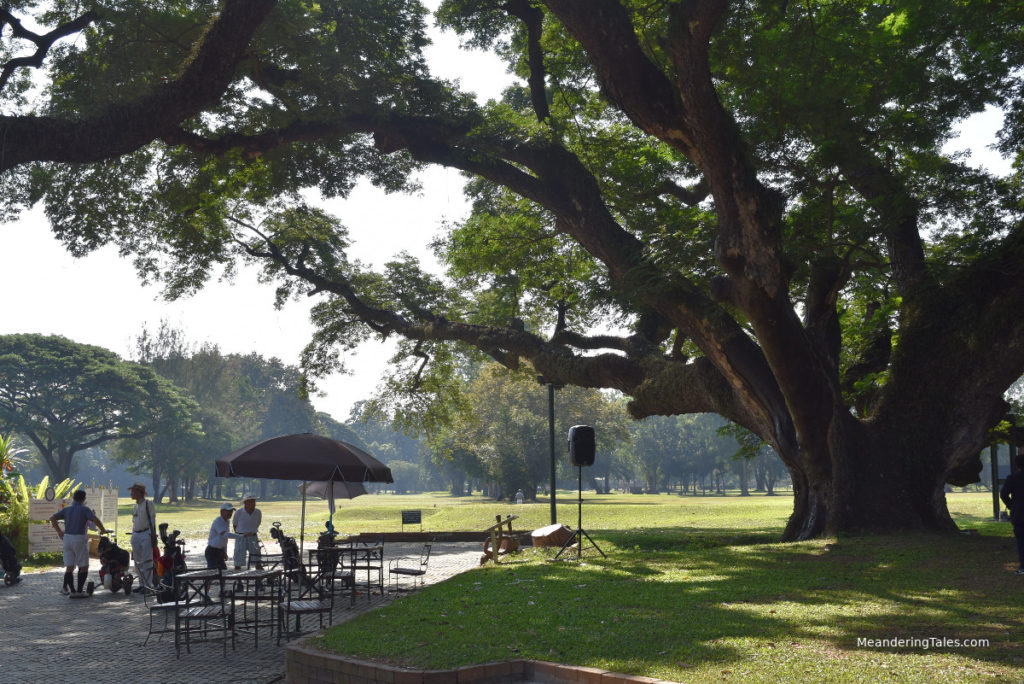 Chiang Mai Gymkhana Club – Colonial Country Cub experience in the centre 6