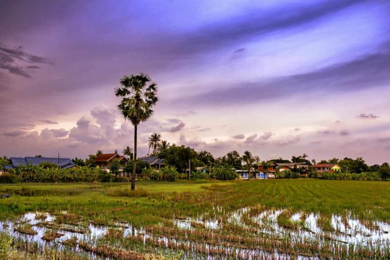 When to visit Thailand, the Land of Smiles! 9