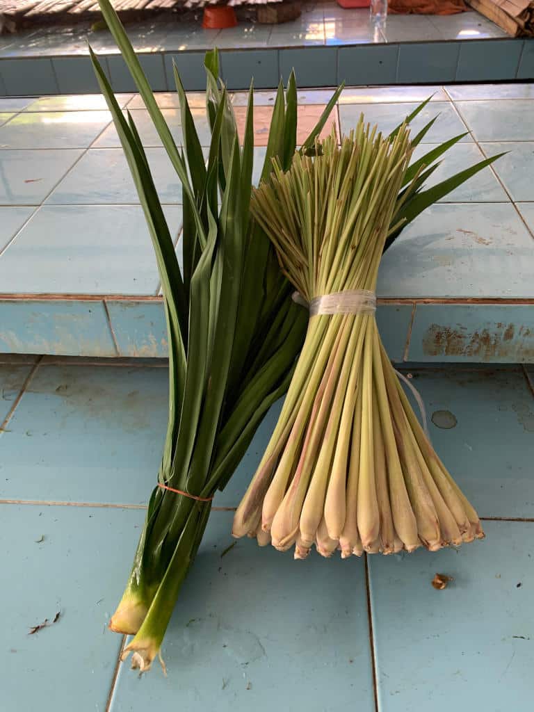 lemongrass-pandan-tea-with-ginger