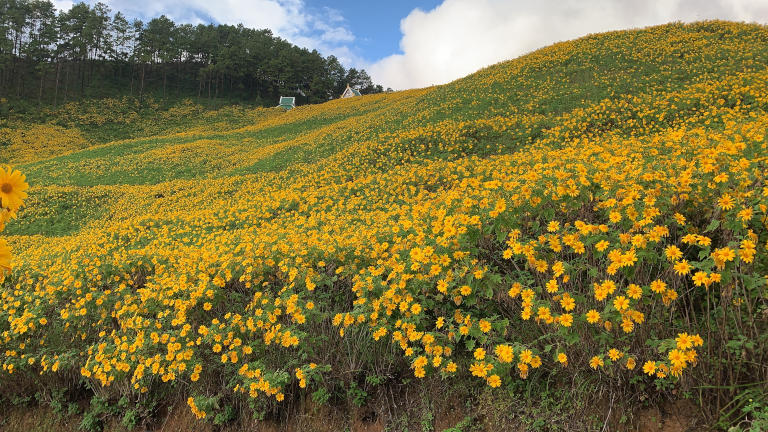 Driving the amazing Mae Hong Son Loop in Northern Thailand 42